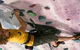 Urban Climb - thumb 0
