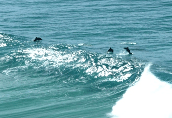 Beach Trekkers North Stradbroke Island - thumb 2