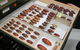 Western Australian Museum - thumb 1
