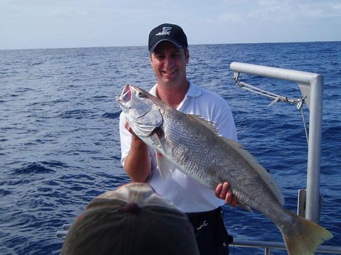 Blue Juice Charters - Accommodation Bookings 1