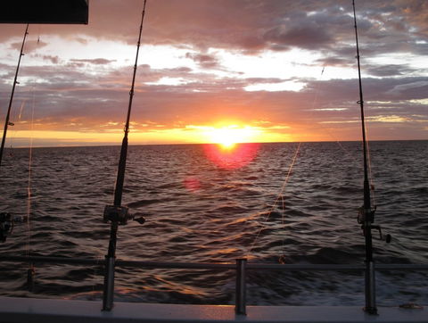 Blue Juice Charters - Accommodation Bookings 5