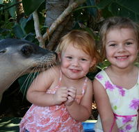 Dolphin Marine Magic - Accommodation Bookings