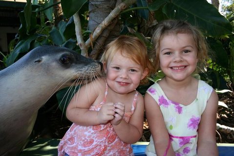Dolphin Marine Magic - Accommodation Bookings 0