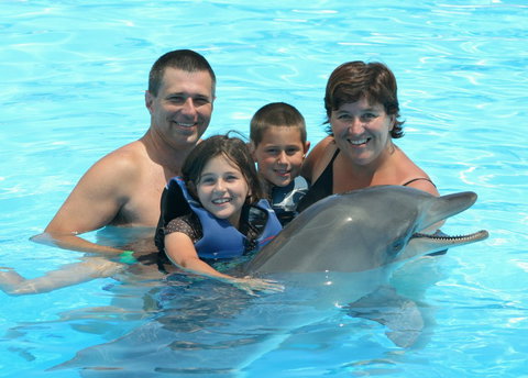 Dolphin Marine Magic - Accommodation Bookings 2