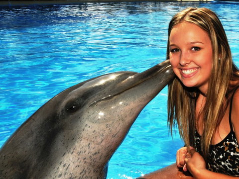Dolphin Marine Magic - Accommodation Bookings 3