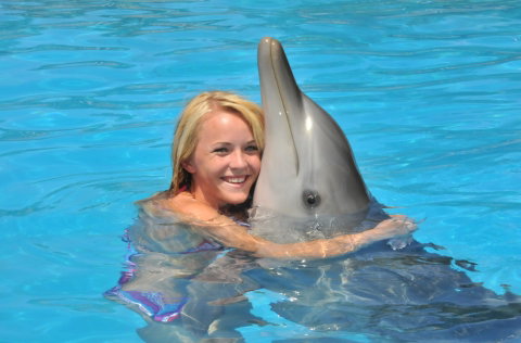 Dolphin Marine Magic - Accommodation Bookings 5