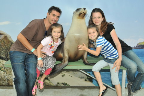 Dolphin Marine Magic - Accommodation Bookings 6