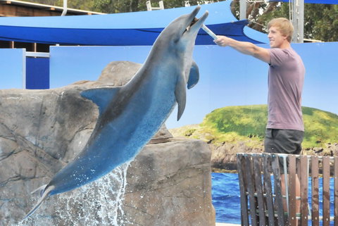 Dolphin Marine Magic - Accommodation Bookings 7