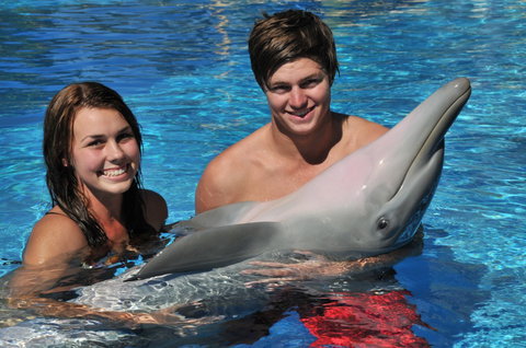 Dolphin Marine Magic - Accommodation Bookings 8