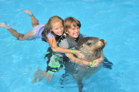 Dolphin Marine Magic - Accommodation Bookings 9