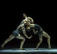 Sydney Dance Company - Accommodation Bookings