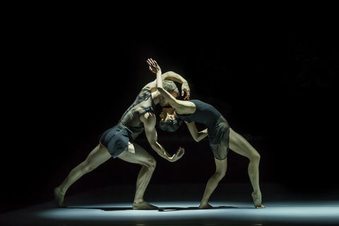 Sydney Dance Company - Accommodation Bookings 0