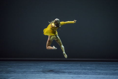 Sydney Dance Company - Accommodation Bookings 1