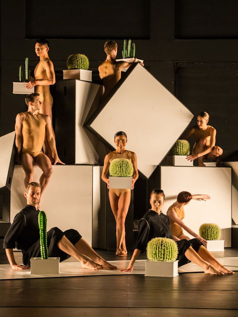 Sydney Dance Company - Accommodation Bookings 3