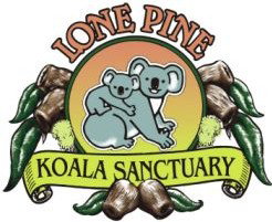 Lone Pine Koala Sanctuary - Accommodation Bookings 0