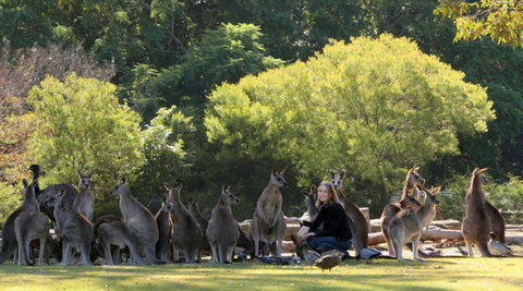 Lone Pine Koala Sanctuary - Accommodation Bookings 1