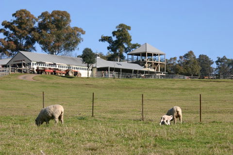 Calmsley Hill City Farm - Accommodation Bookings 3