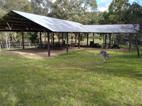 Calmsley Hill City Farm - Accommodation Bookings 5
