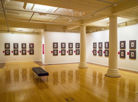 Cairns Regional Gallery - Accommodation Bookings 2