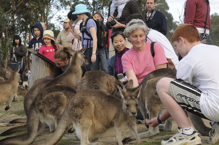 East Coast Natureworld - Accommodation Bookings 4