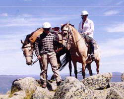 High Country Horses - Accommodation Bookings 3