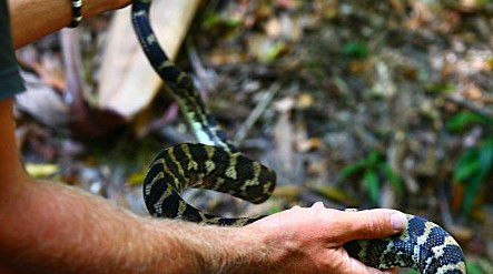 Queensland Day Tours - Accommodation Bookings 1