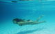 Queensland Day Tours - thumb 8