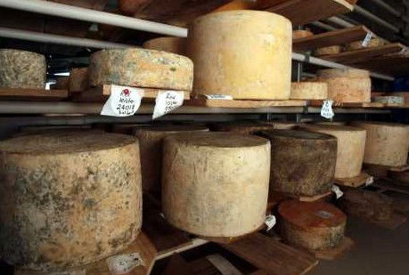Witches Chase Cheese Co - Accommodation Bookings 3