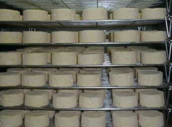 Witches Chase Cheese Co - Accommodation Bookings 5