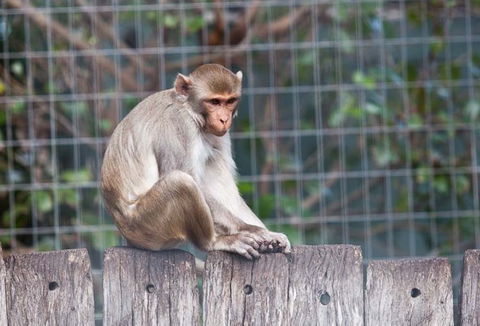Darling Downs Zoo - Accommodation Bookings 5
