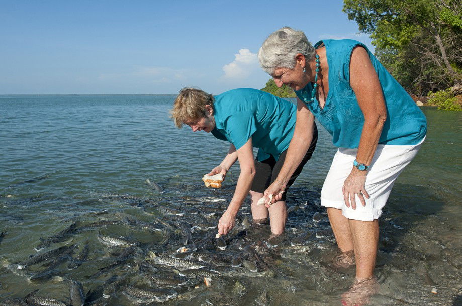 Darwin City NT Accommodation Bookings
