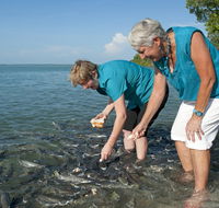 Aquascene Fish Feeding Sanctuary - Accommodation Bookings