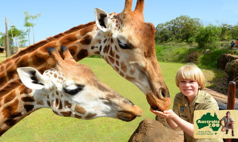 Australia Zoo - Accommodation Bookings 4