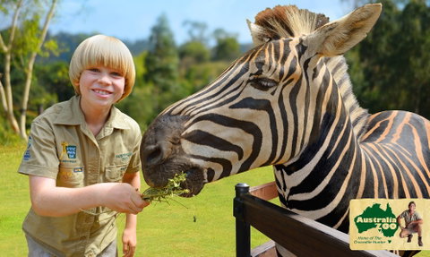 Australia Zoo - Accommodation Bookings 5