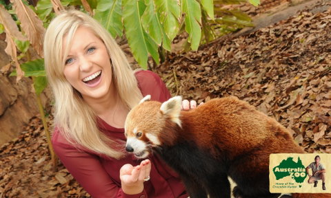 Australia Zoo - Accommodation Bookings 7
