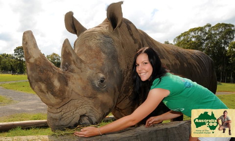 Australia Zoo - Accommodation Bookings 8