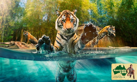 Australia Zoo - Accommodation Bookings 9