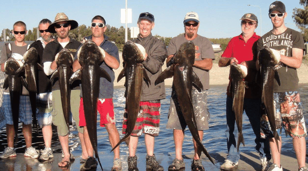 BKs Gold Coast Fishing Charters - Accommodation Bookings 1