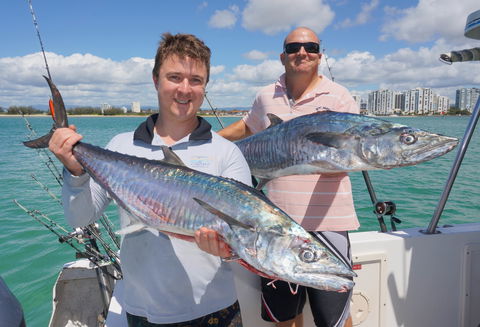 BKs Gold Coast Fishing Charters - Accommodation Bookings 6