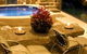 Breathtaker On High Spa Retreat - thumb 5