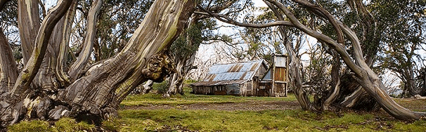 High Country Scenic Tours - Accommodation Bookings