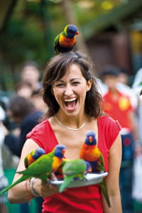 Currumbin Wildlife Sanctuary - Accommodation Bookings 10