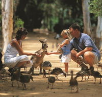 Billabong Sanctuary - Accommodation Bookings