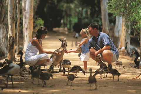 Billabong Sanctuary - Accommodation Bookings 0