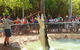 Billabong Sanctuary - thumb 2