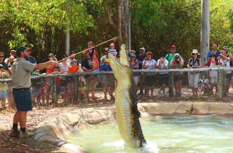 Billabong Sanctuary - Accommodation Bookings 2