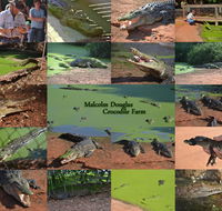 The Malcolm Douglas Crocodile Park - Accommodation Bookings