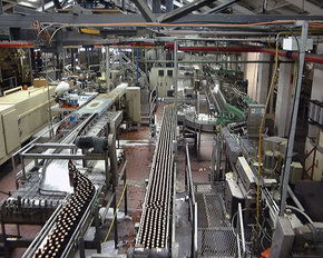 Cascade Brewery Tour - Accommodation Bookings 2