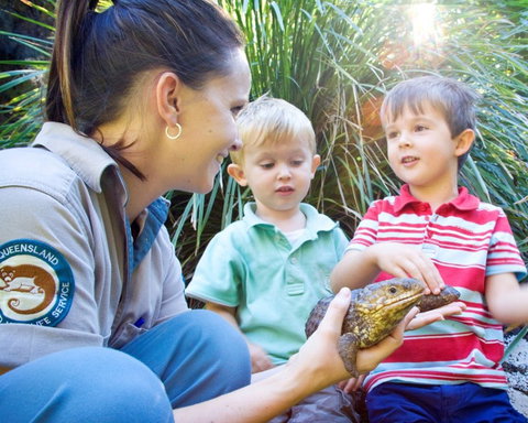 David Fleay Wildlife Park - Accommodation Bookings 3