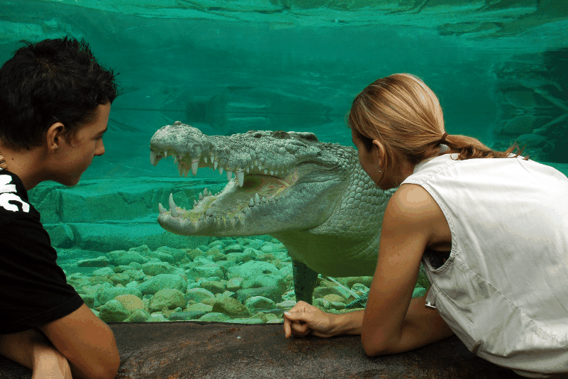 Cairns Wildlife Dome - thumb 1